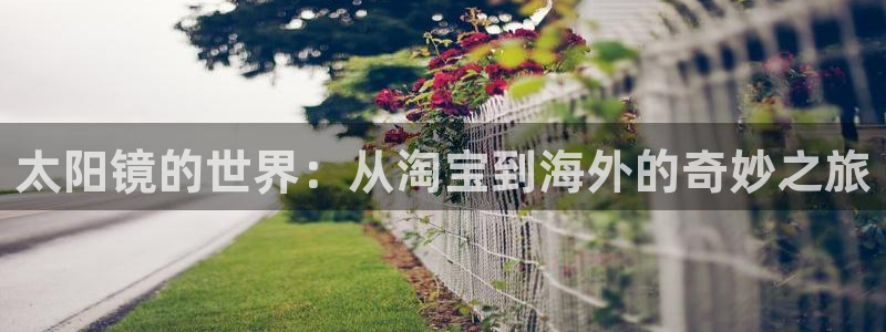 新宝5电脑登录网址