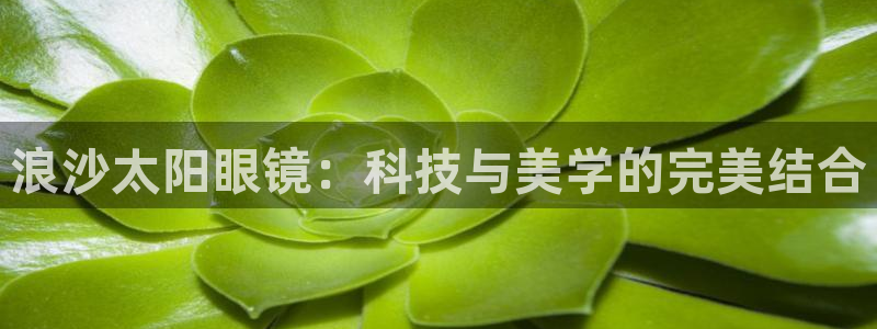 新宝h2O5O5O