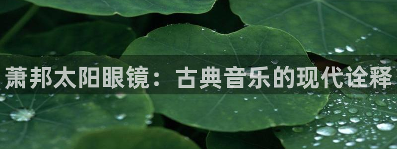 新宝那2O5O5O