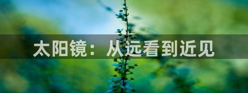 新宝5手机版