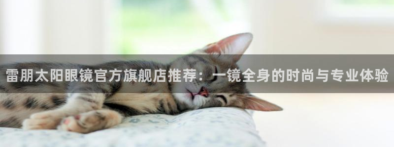新宝5总代