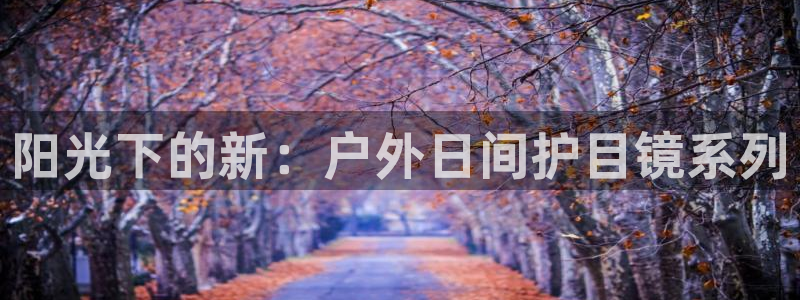 新宝5招商