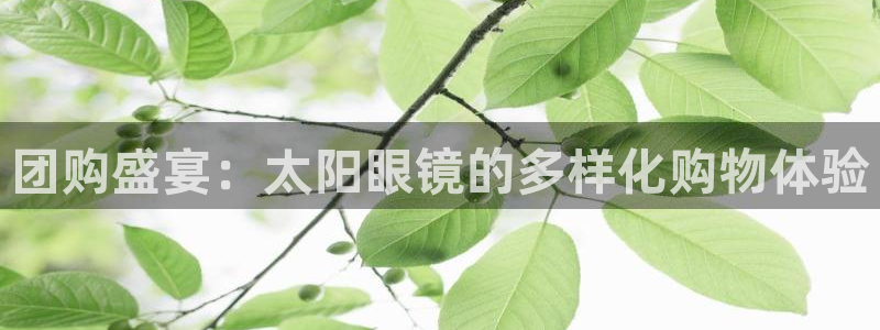新宝5娱乐网址