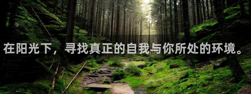 新宝5网