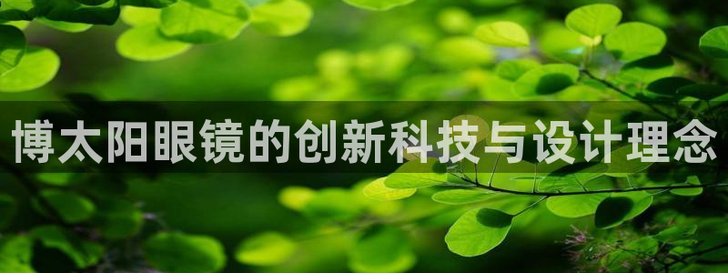 新宝5app手机下载