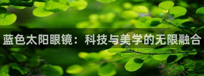新宝5软件下载