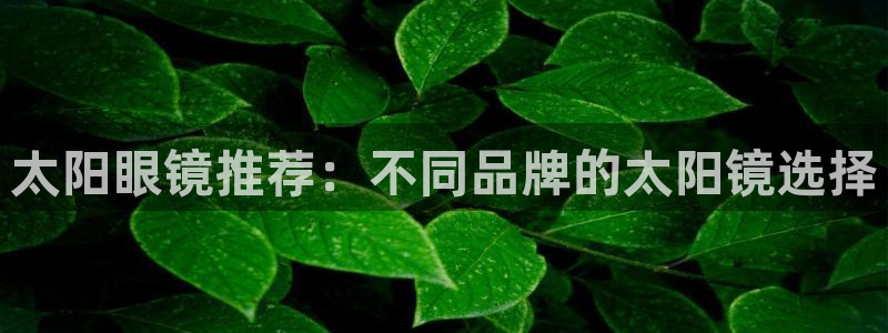 新宝5测速下载