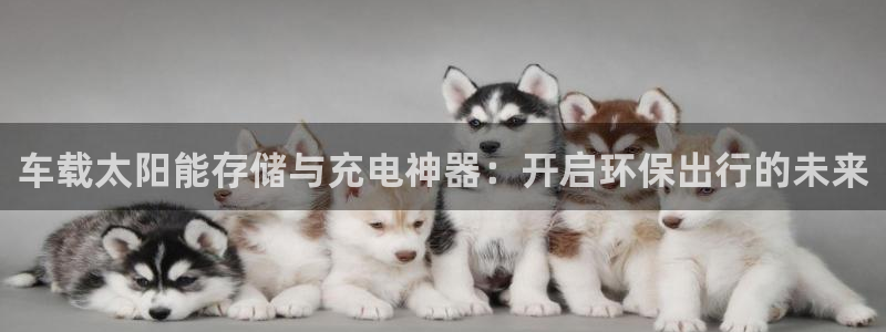 新宝股东王听2 5 5