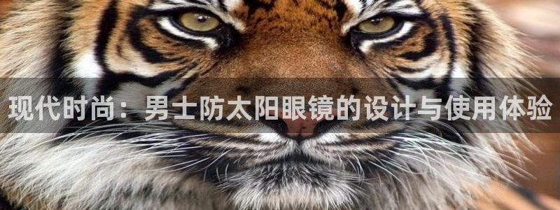 新宝5网站