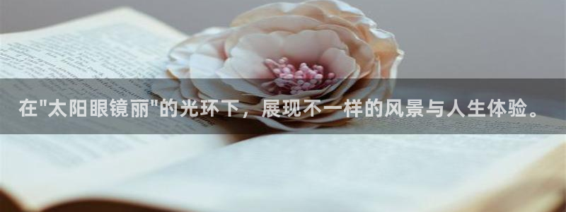 新宝5手机登陆