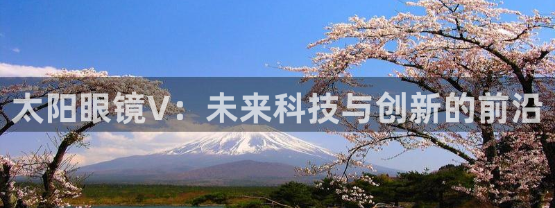 新宝5总代