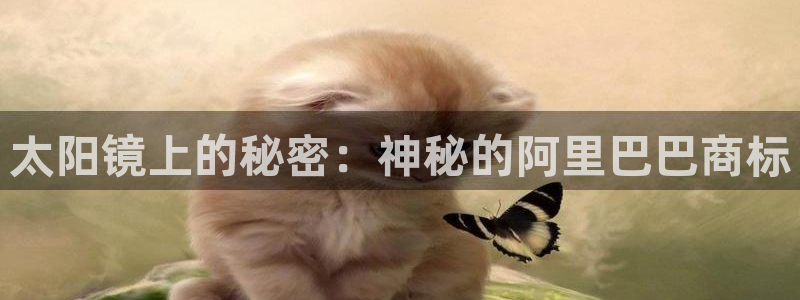 新宝5手机版