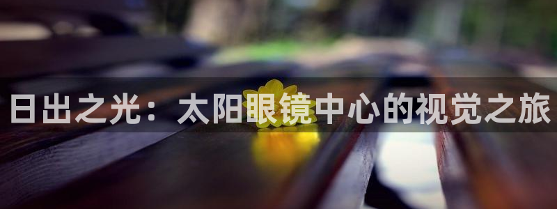 新宝5娱乐代理
