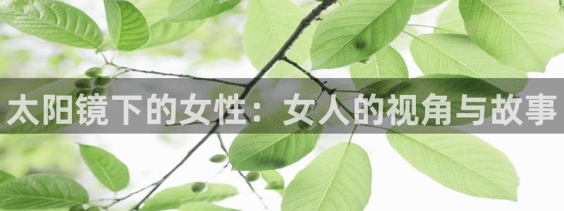 新宝5娱乐家