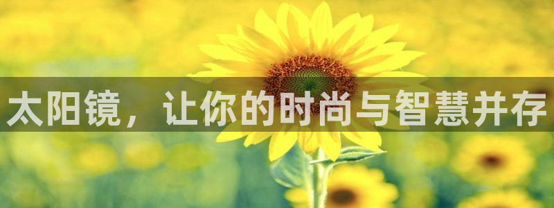 新宝5软件下载