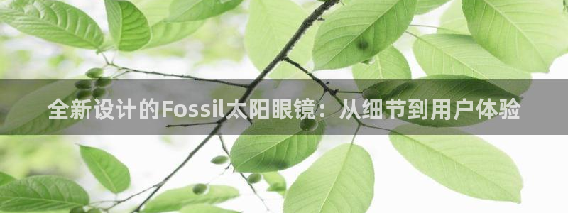 新宝5网