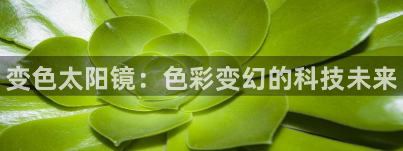新宝5娱乐登陆
