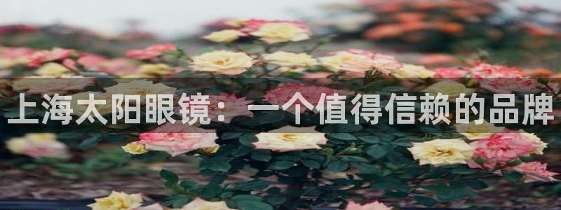 新宝b2O5O5O