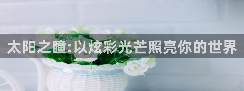 新宝5网址