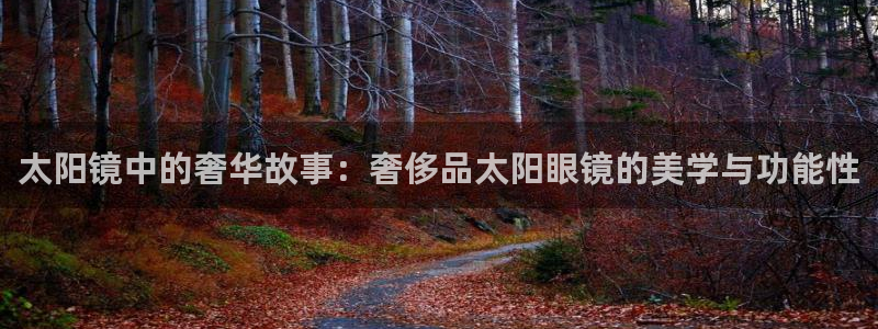 新宝5安卓版