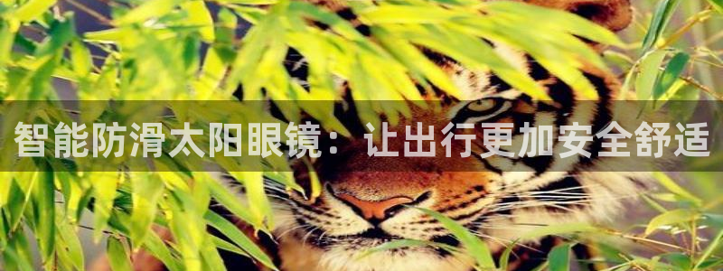 新宝5总代