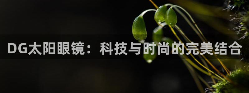 新宝h2O5O5O