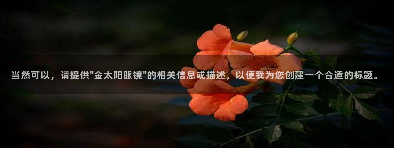 新宝5娱乐方