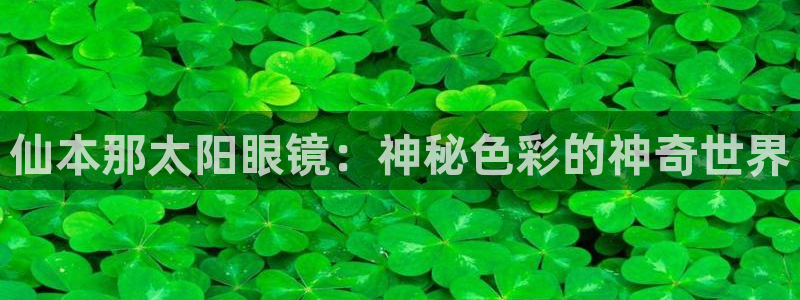 新宝堂新会陈皮5年