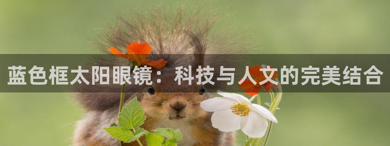 新宝5娱乐网址