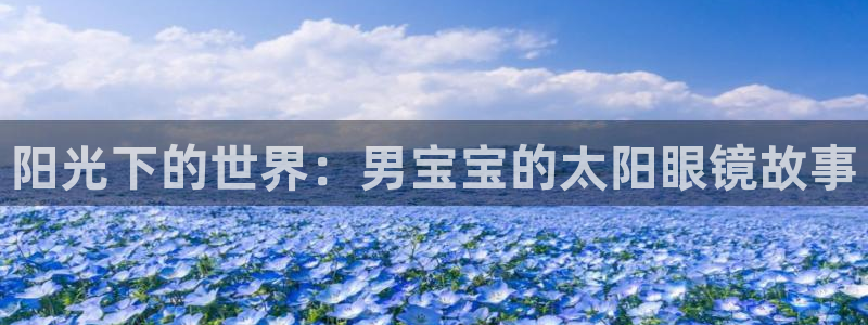 新宝5测速在线