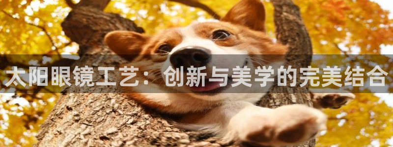 新宝奇迹GG5