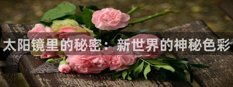 新宝5下载官方