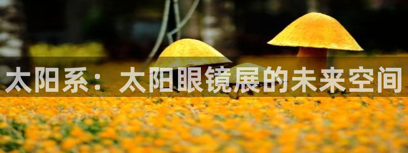 新宝堂新会陈皮5年