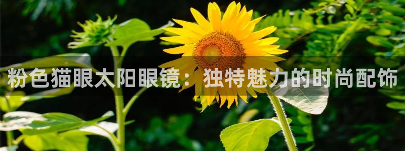 新宝5测速线路