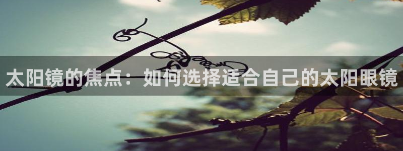 新宝5是什么样子的