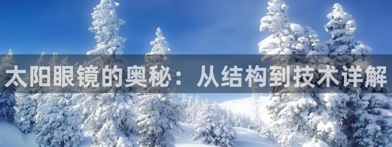 新宝5网