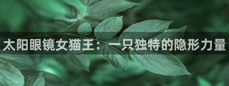 新宝5平台霸