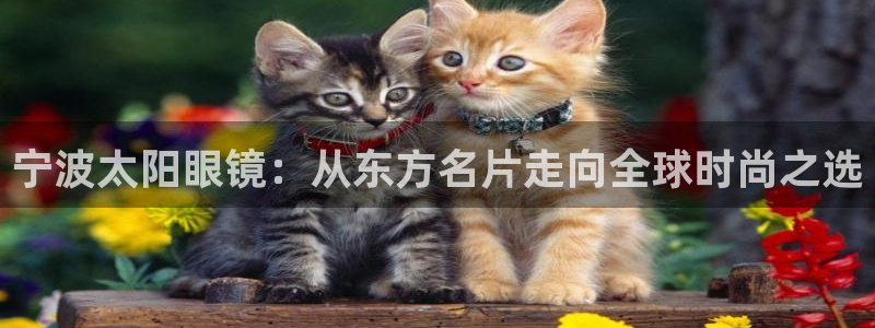 新宝娱乐5入口