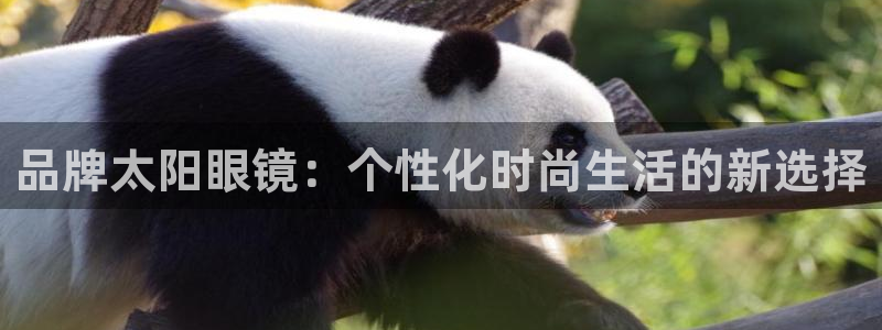 新宝5娱乐多