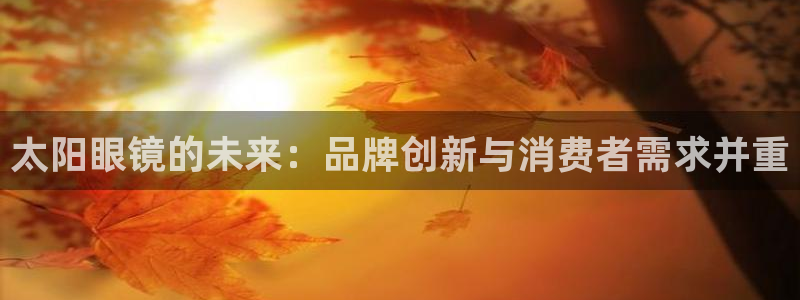新宝5娱乐然