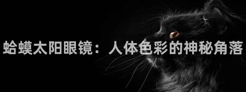 新宝5娱乐同