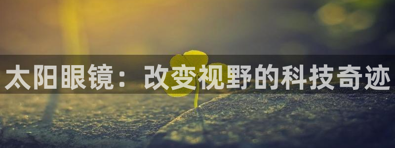 新宝5新宝6顺达