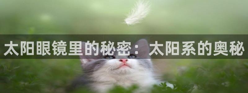 新宝5苹果手机下载