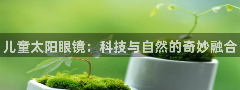 新宝5是什么样子的